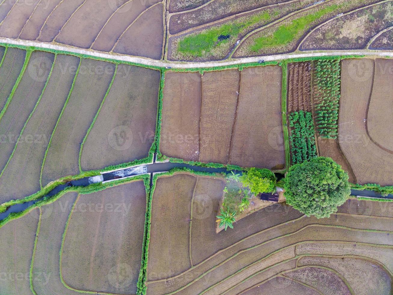 aereo Visualizza di verde riso terrazze nel Indonesia foto