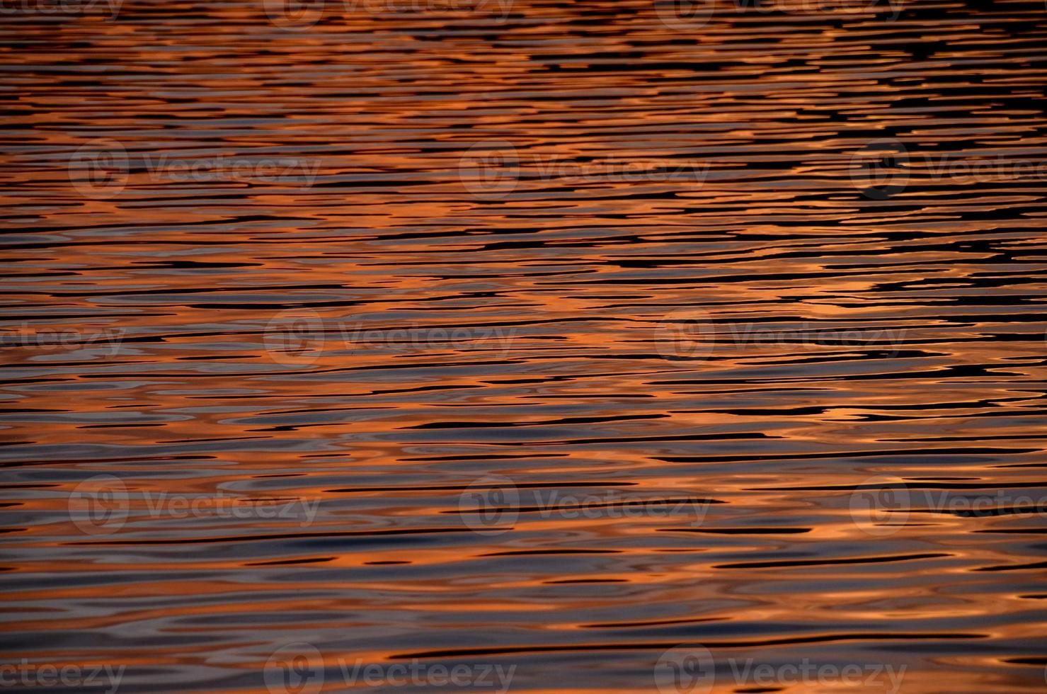 onde nel il oceano foto