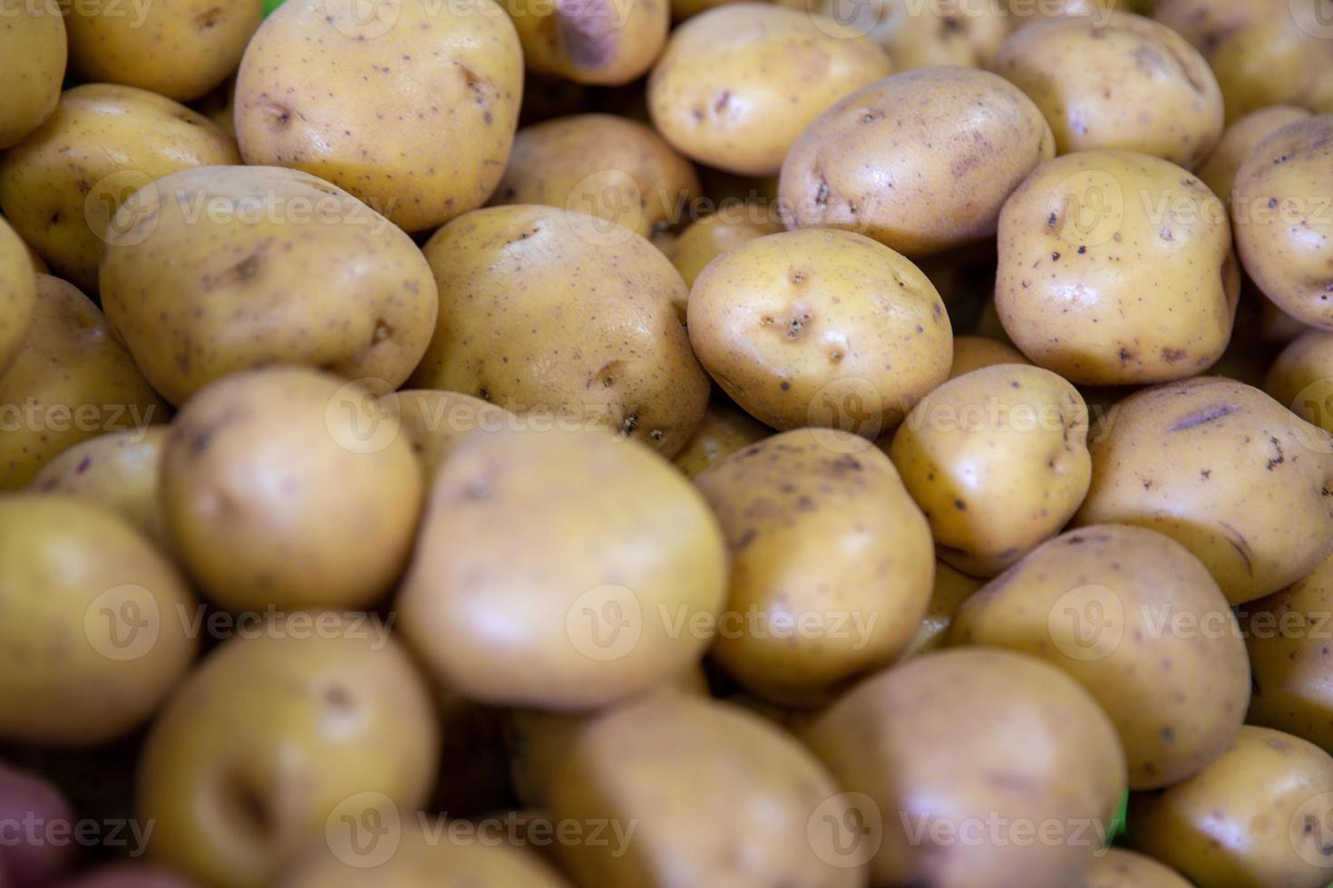 primo piano di patate foto
