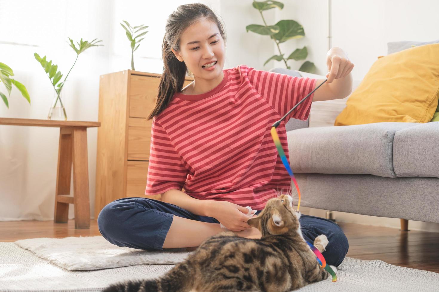 ricreazione, bellissimo proprietario gattino asiatico giovane donna, ragazza contento viso nel gratuito tempo nel casuale Tenere giocattolo giocando con amorevole gatto, seduta su tappeto nel vivente camera mentre riposo a sua casa o appartamento. foto