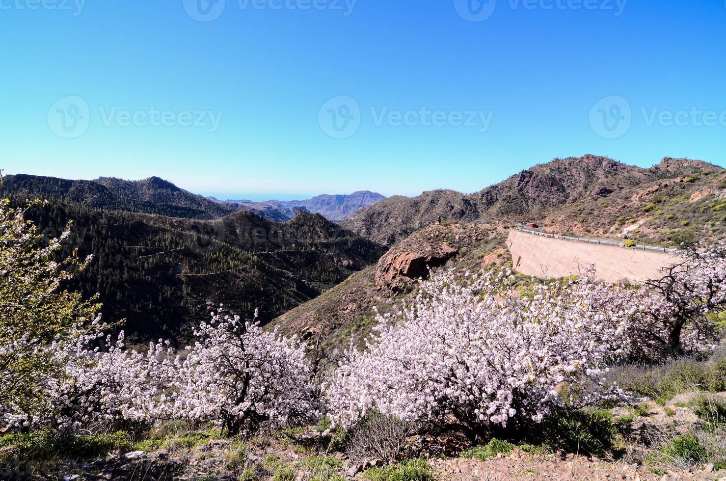 paesaggio montano scenico foto