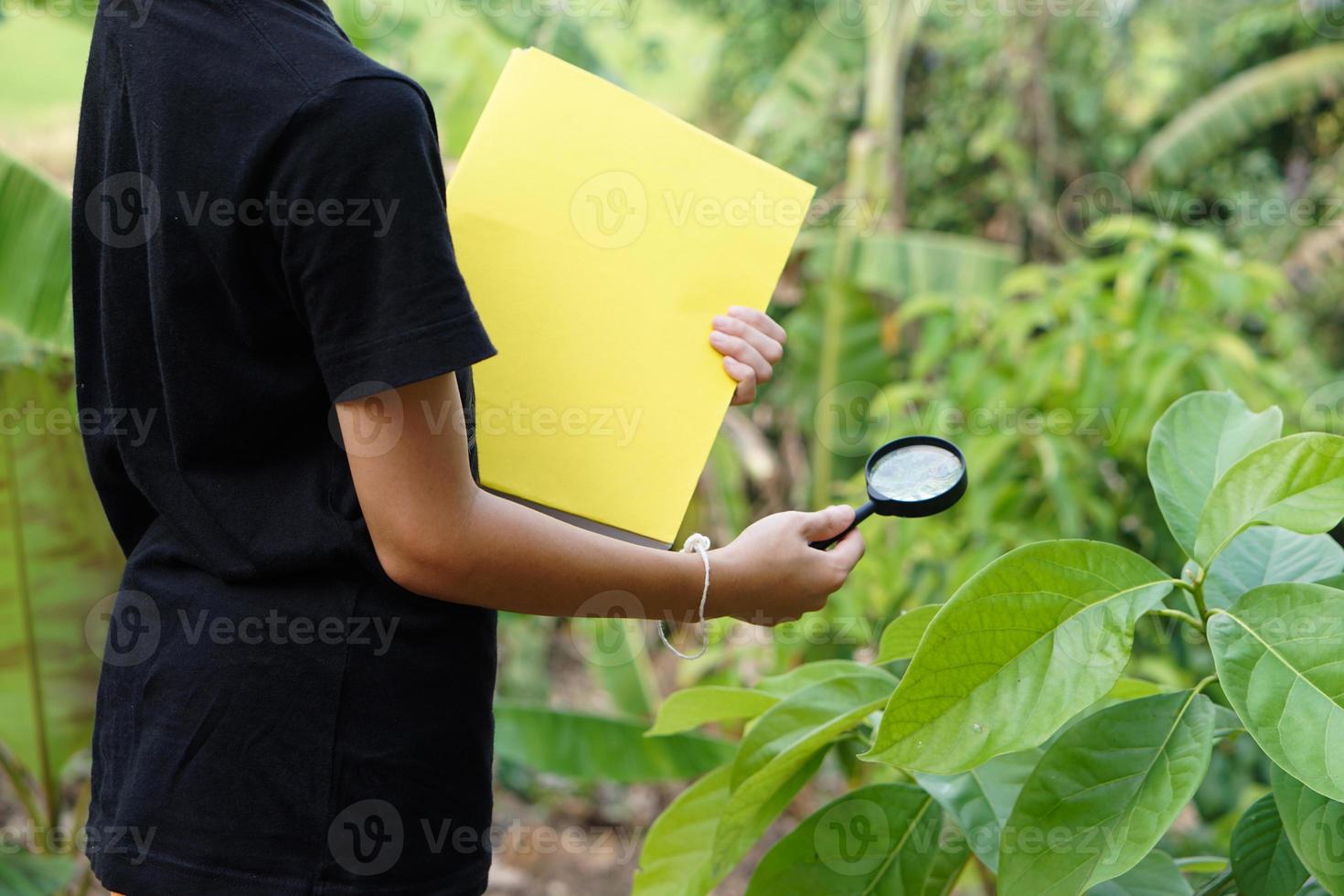 avvicinamento ragazzo è apprendimento di botanico impianti lezione, detiene ingrandimento bicchiere e libro. concetto, scienza e ambiente progetto Incarico a partire dal scuola. se stesso apprendimento fuori. foto