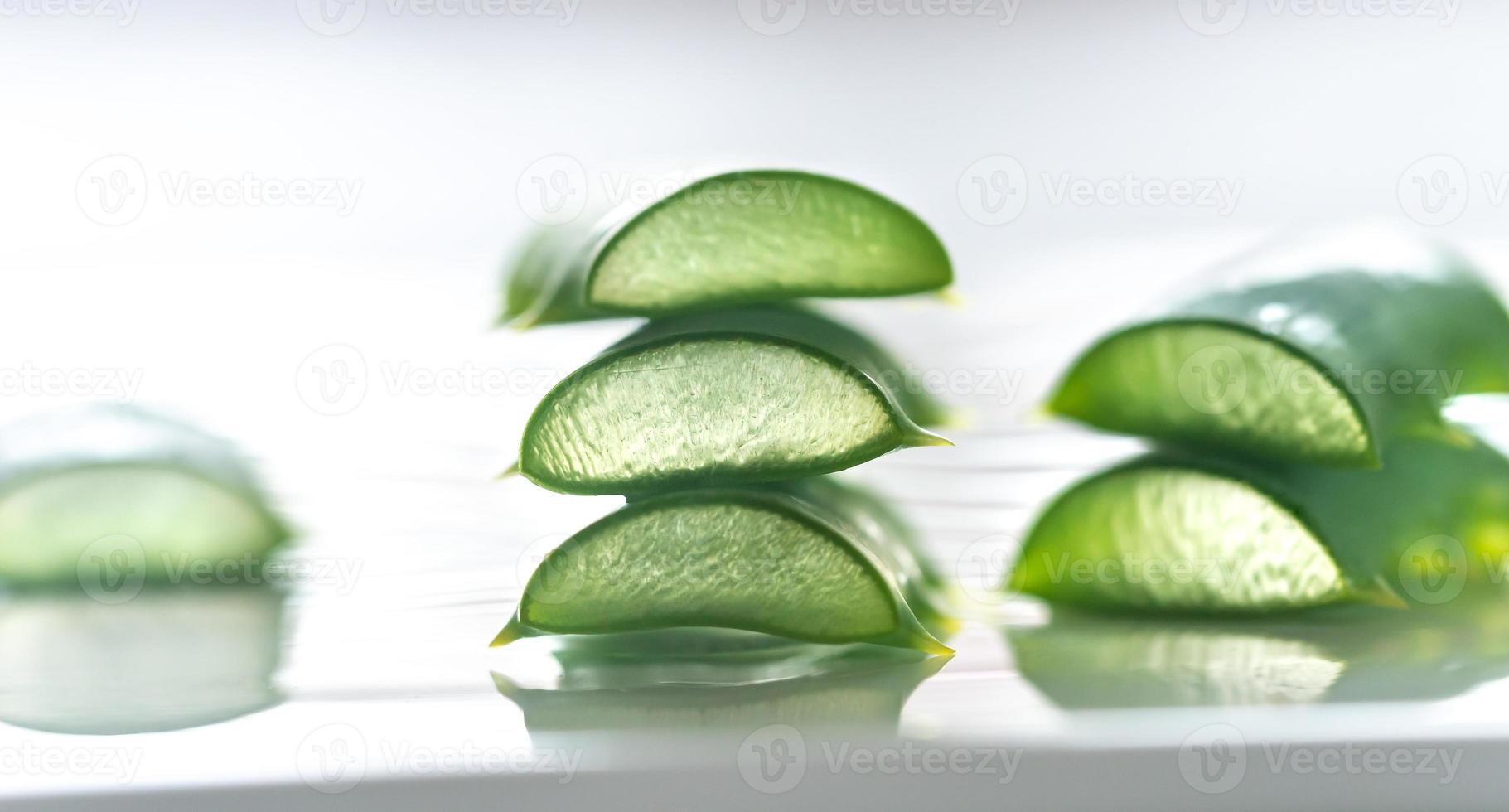 fresco le foglie di aloe Vera su il bianca sfondo foto