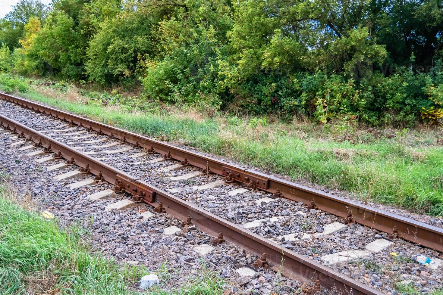 fotografia per tema ferrovia traccia dopo passaggio treno su Ferrovia foto