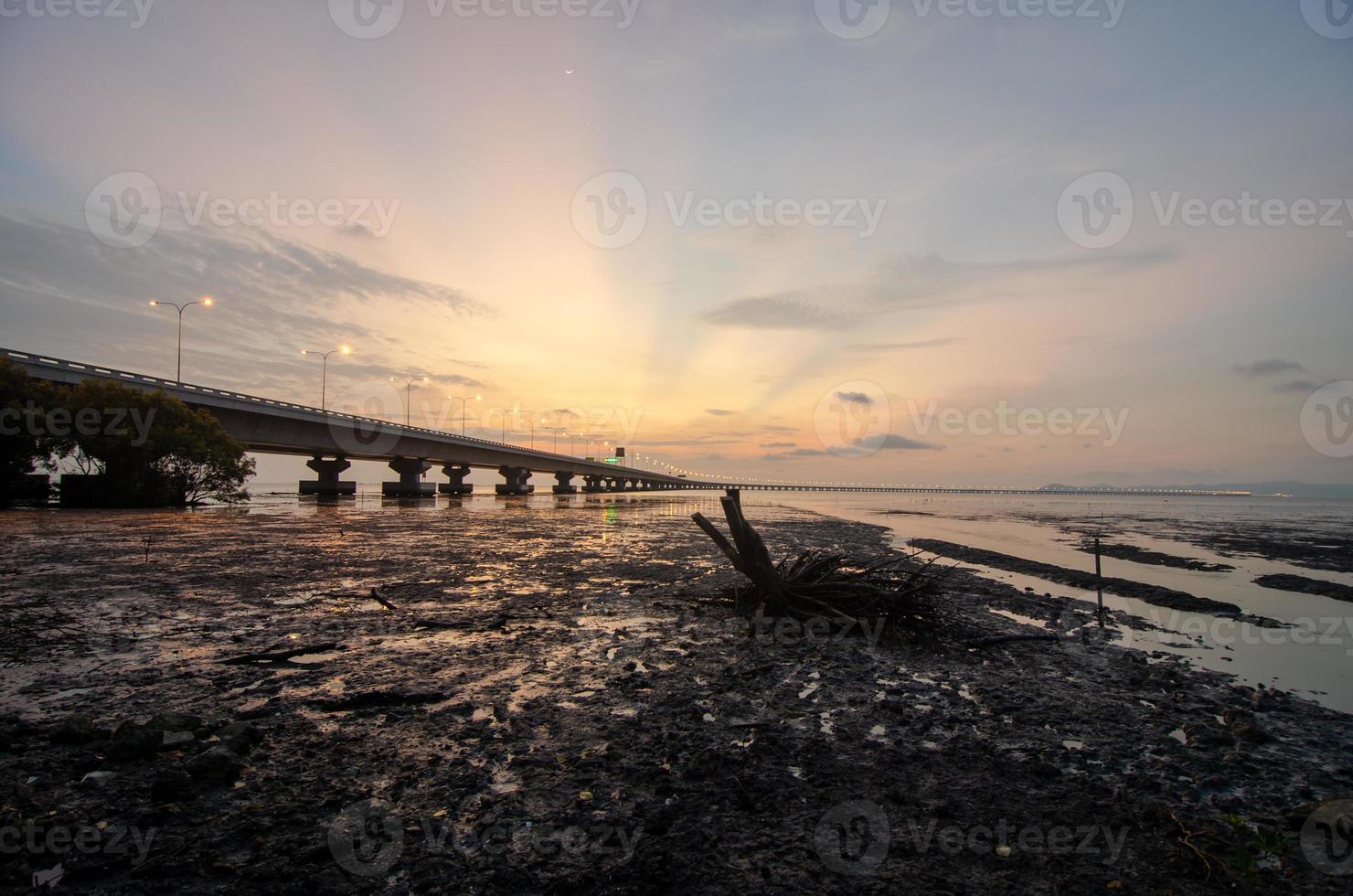 Penang secondo ponte con di legno morto alberi foto