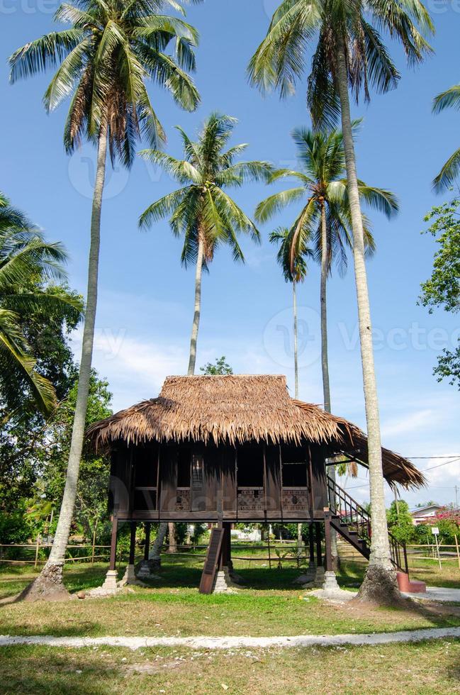 malesi di legno Casa nel Noce di cocco azienda agricola a Kampung ago, Penang foto