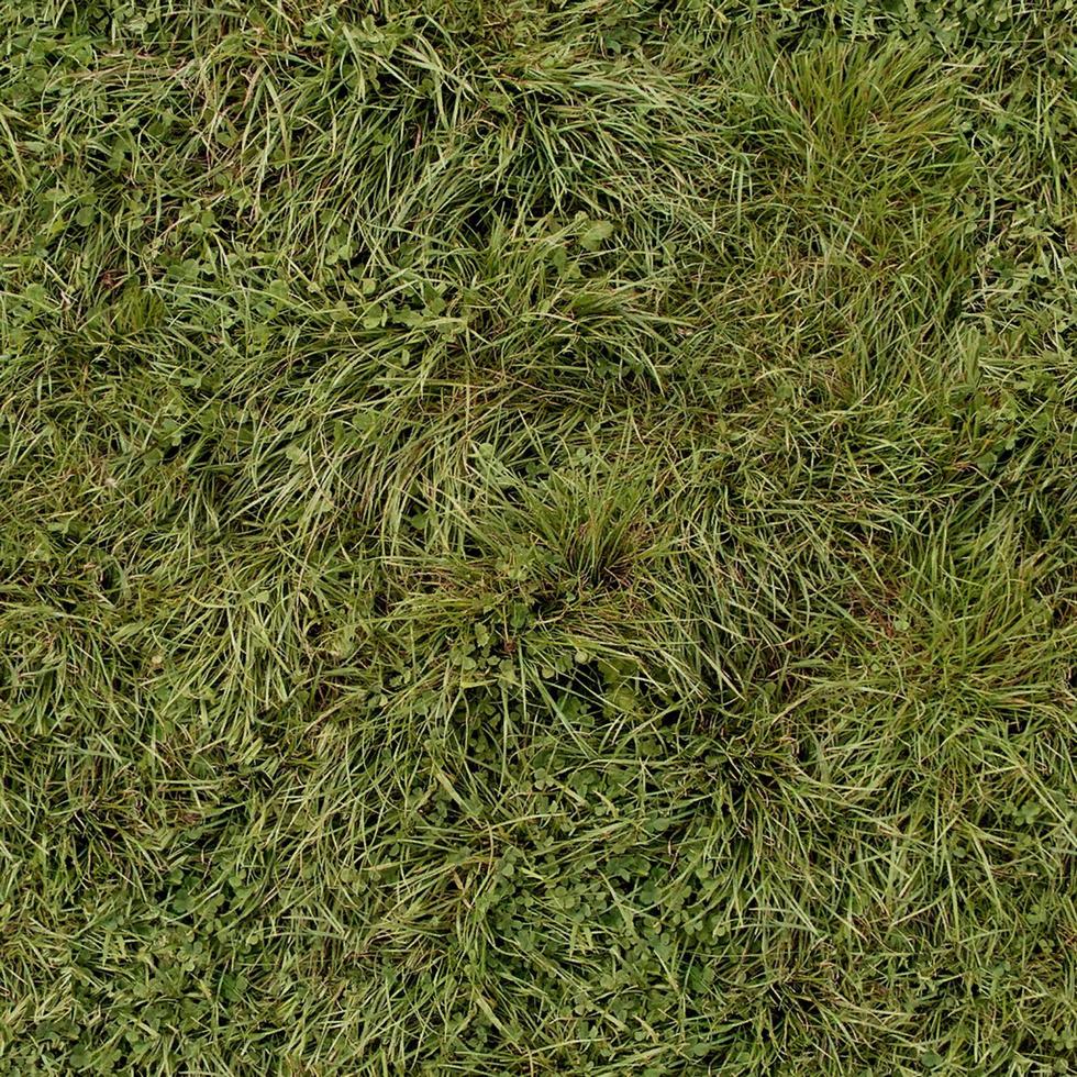 verde erba struttura può essere uso come sfondo foto