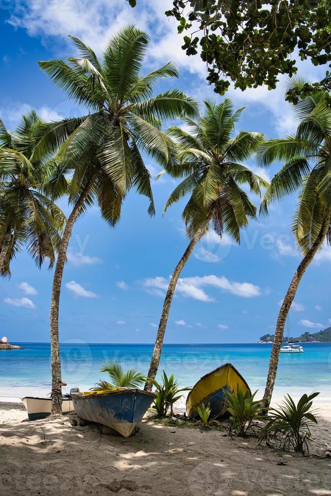 Noce di cocco plam alberi e Barche vicino il spiaggia di Takamaka, mahe Seychelles foto