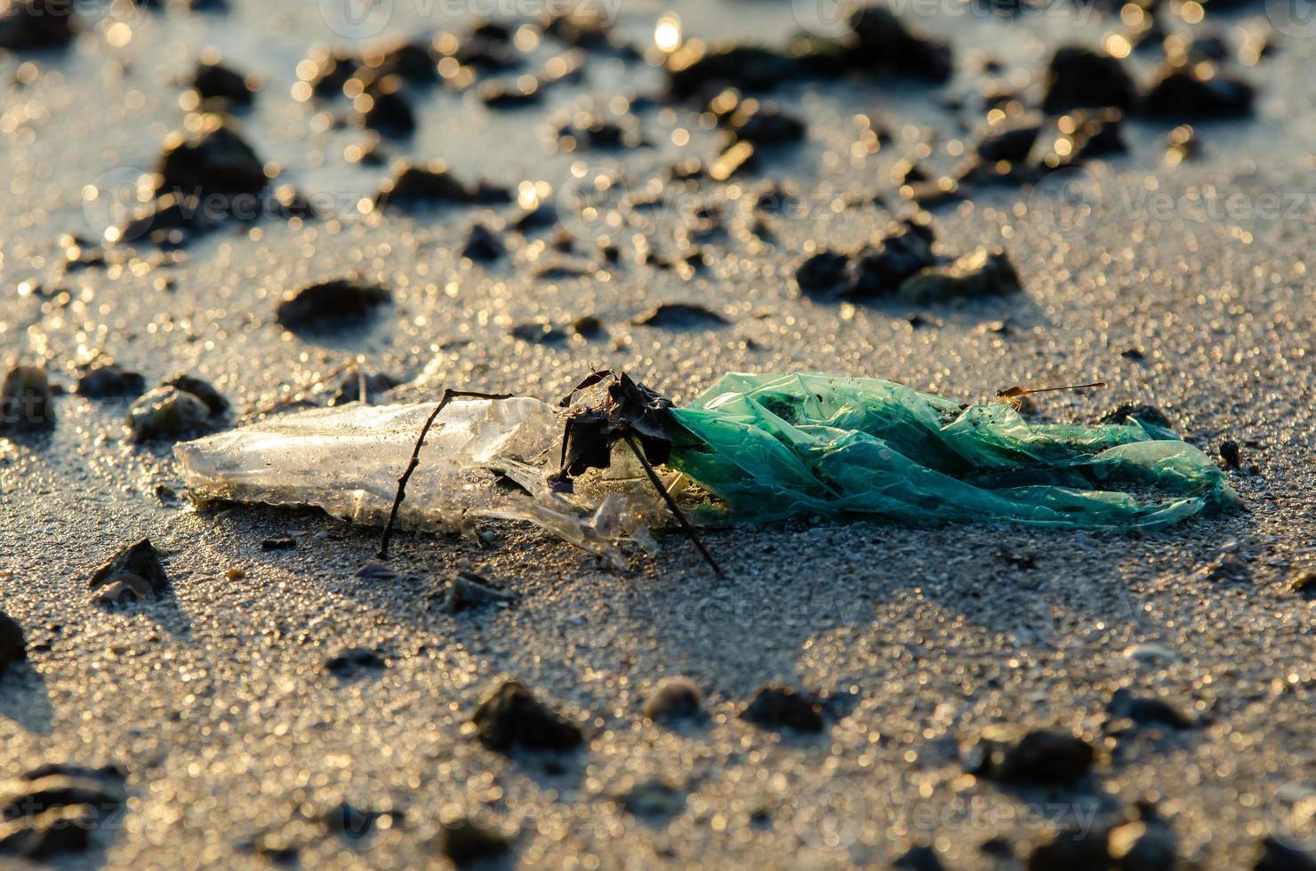 plastica sciocchezze a mare costiero nel mattina foto