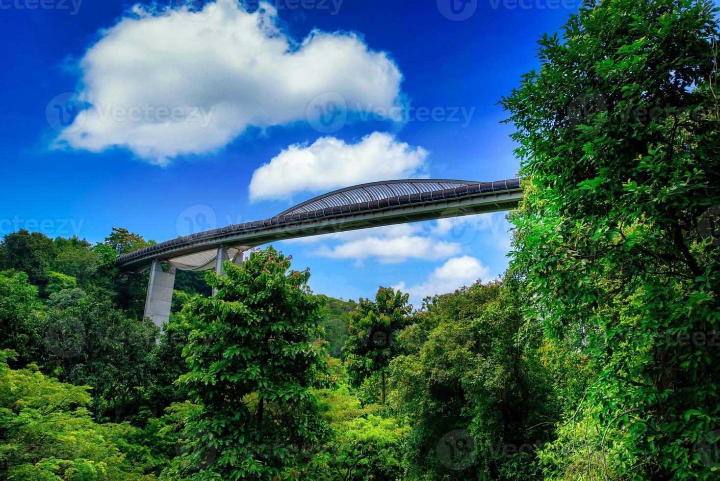 henderson onda ponte su blu cielo sfondo a giorno nel Singapore. foto