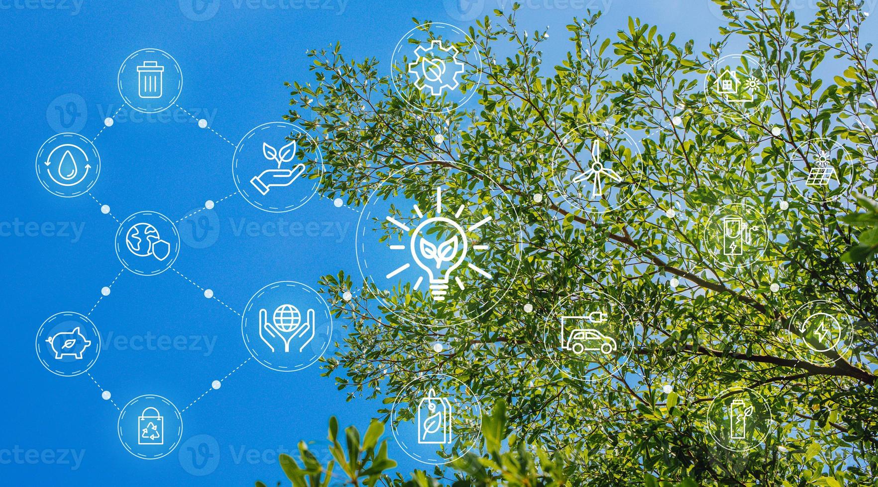 business sostenibile o business verde illustrazione vettoriale sfondo con il concetto di icona di connessione relativo al set di icone ambientale rispettoso dell'ambiente. banner di intestazione web e social per esg. foto