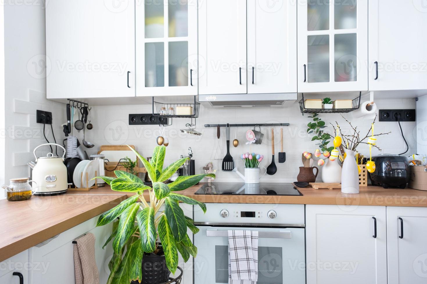 aglaonema avvicinamento nel il interno di cucina su il In piedi. pianta della casa in crescita e cura per interno pianta, verde casa foto