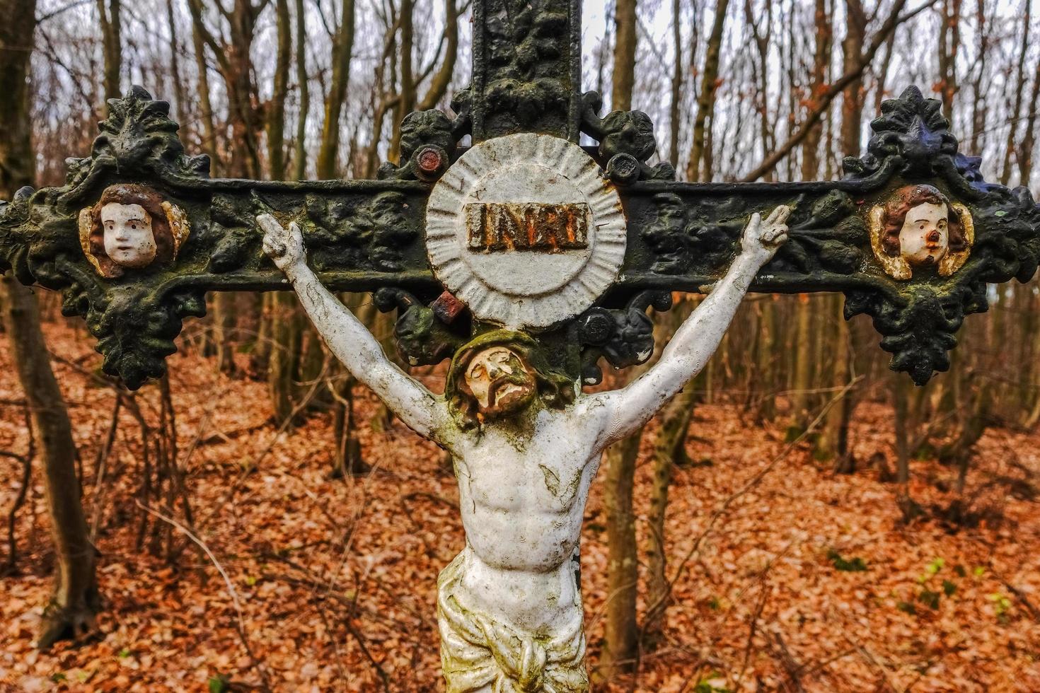 attraversare con Gesù a un' posto nel il foresta dettaglio foto