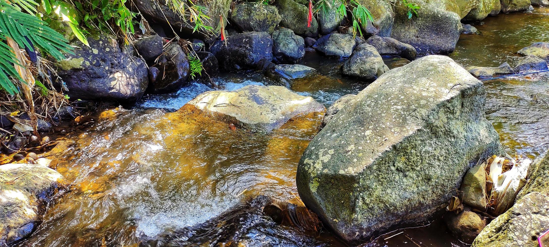 natura fiume sotto il piede di il montagna foto