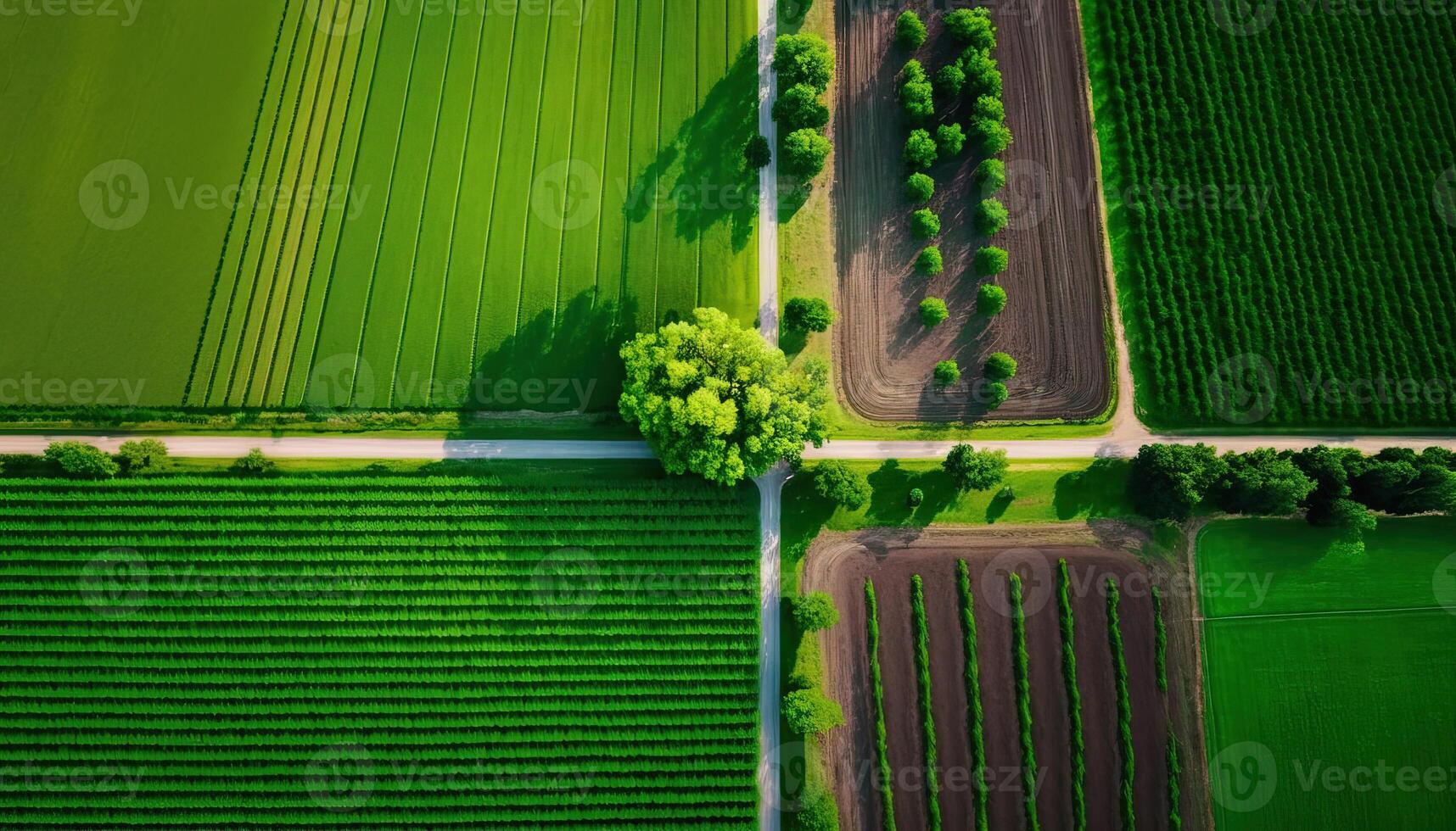 generativo ai, azienda agricola paesaggio, agricolo campi, bellissimo campagna, nazione strada. natura illustrazione, fotorealistico superiore Visualizza drone, orizzontale striscione. foto