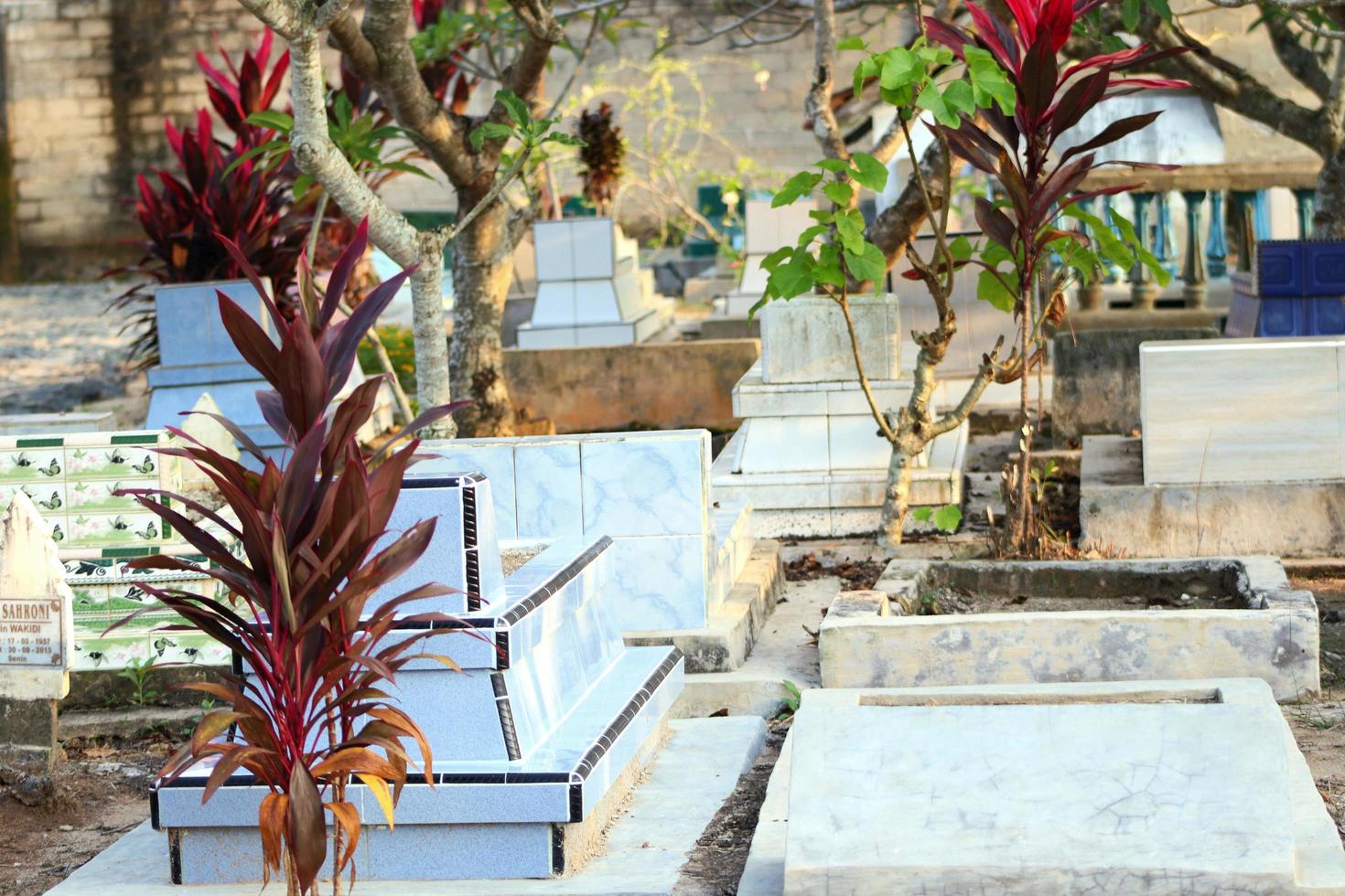 storico posto di pubblico cimitero con naturale floreale sfondo di edifici e alberi foto