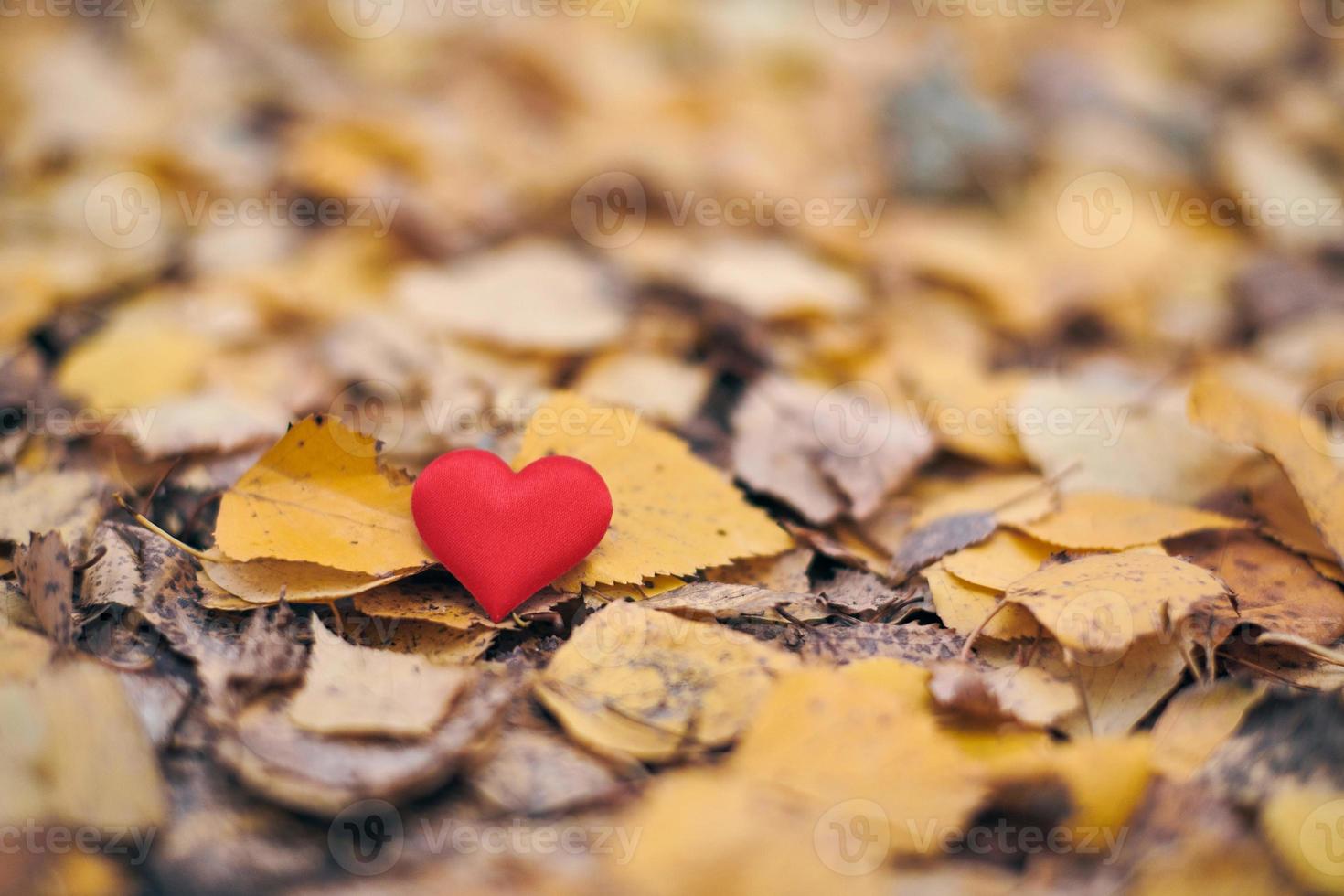 concetto di amore o solitudine non corrisposto e unilaterale. foto