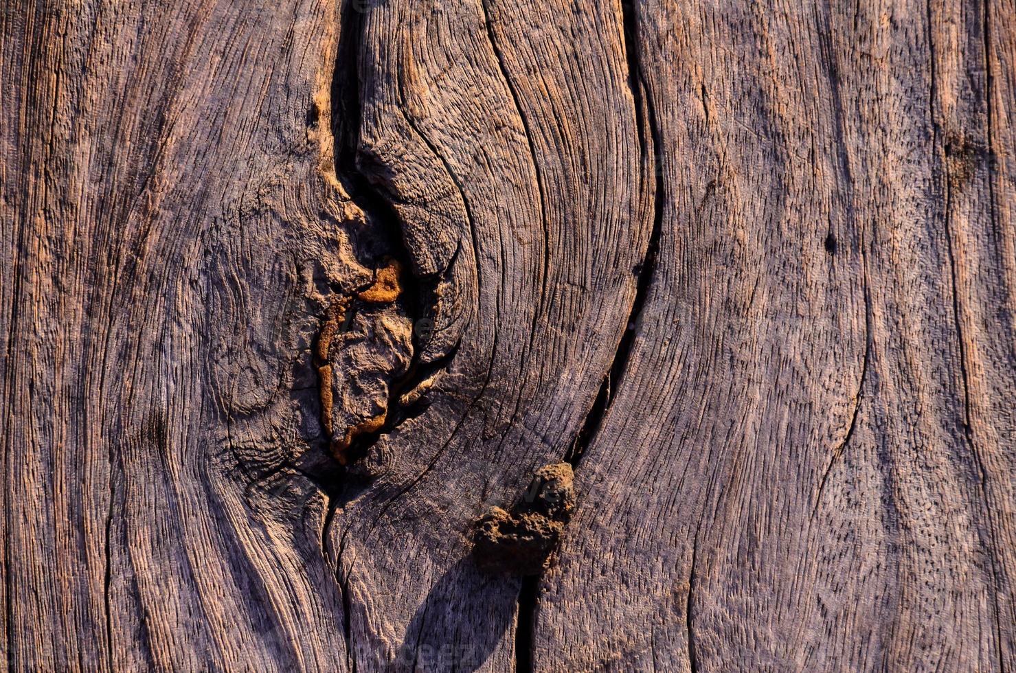 struttura in legno da vicino foto