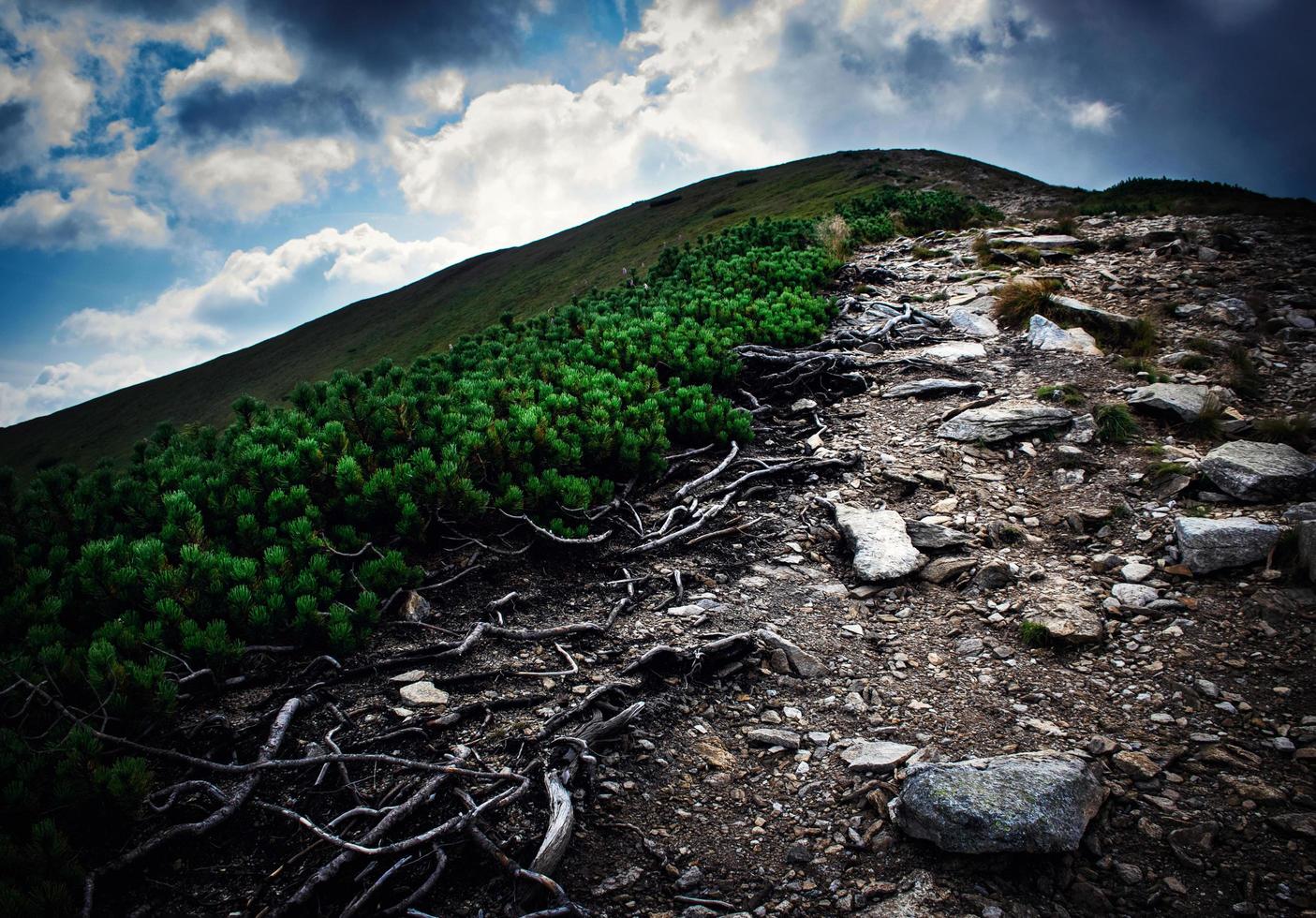 passerella su una collina foto