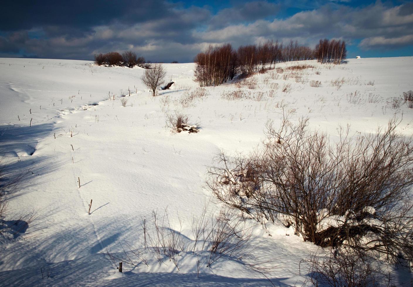 paesaggio invernale innevato foto