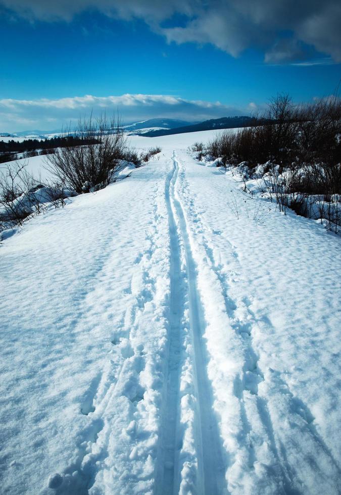 paesaggio invernale innevato foto