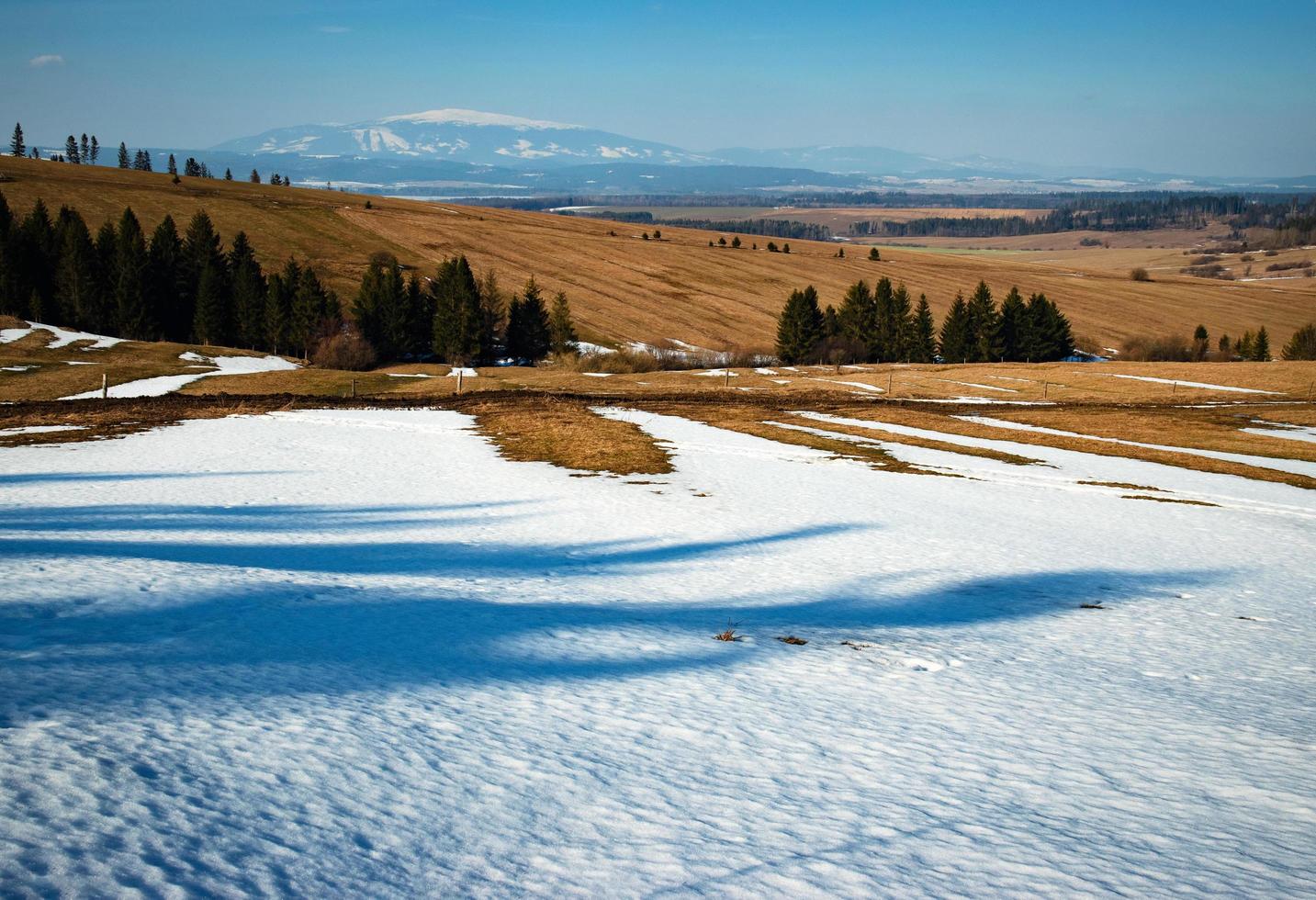 prato parzialmente innevato foto