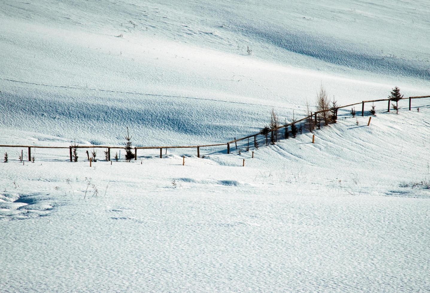 prato innevato con recinzione foto