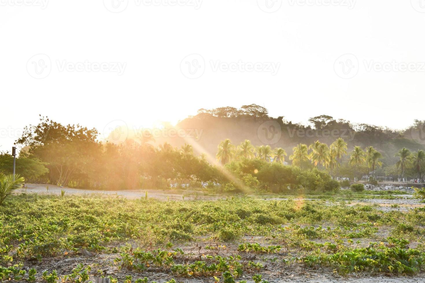 paesaggio montano scenico foto