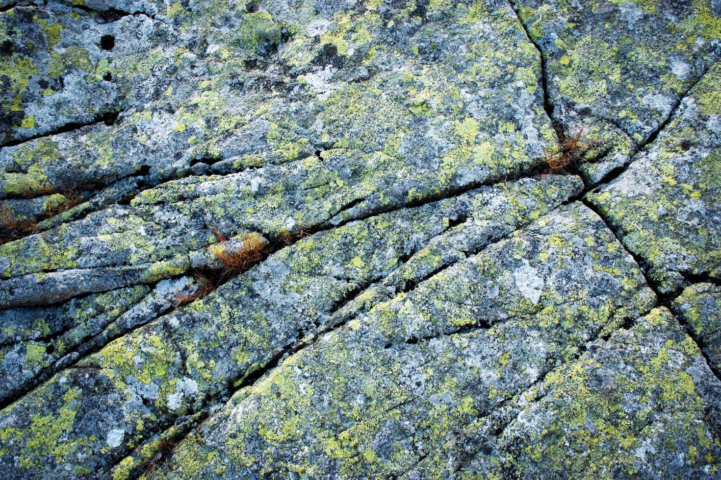 roccia di granito screpolata con muschio giallo foto