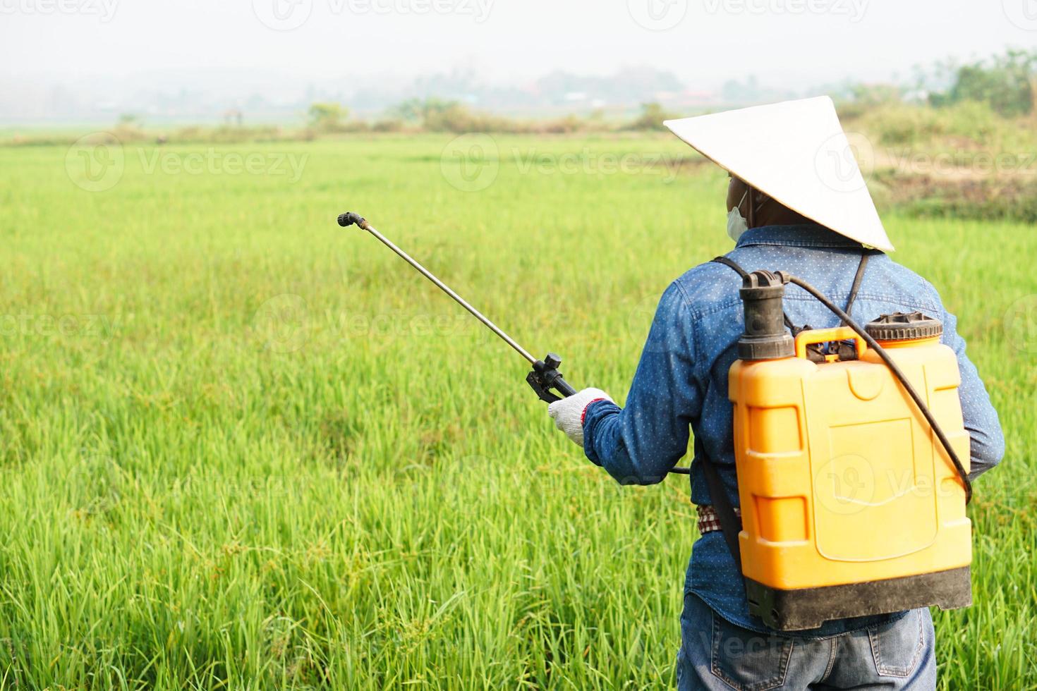 asiatico contadino usi erbicidi, insetticidi chimico spray per ottenere sbarazzarsi di erbacce e insetti o pianta malattia nel il riso campi. causa aria inquinamento. ambientale , agricoltura sostanze chimiche concetto. foto