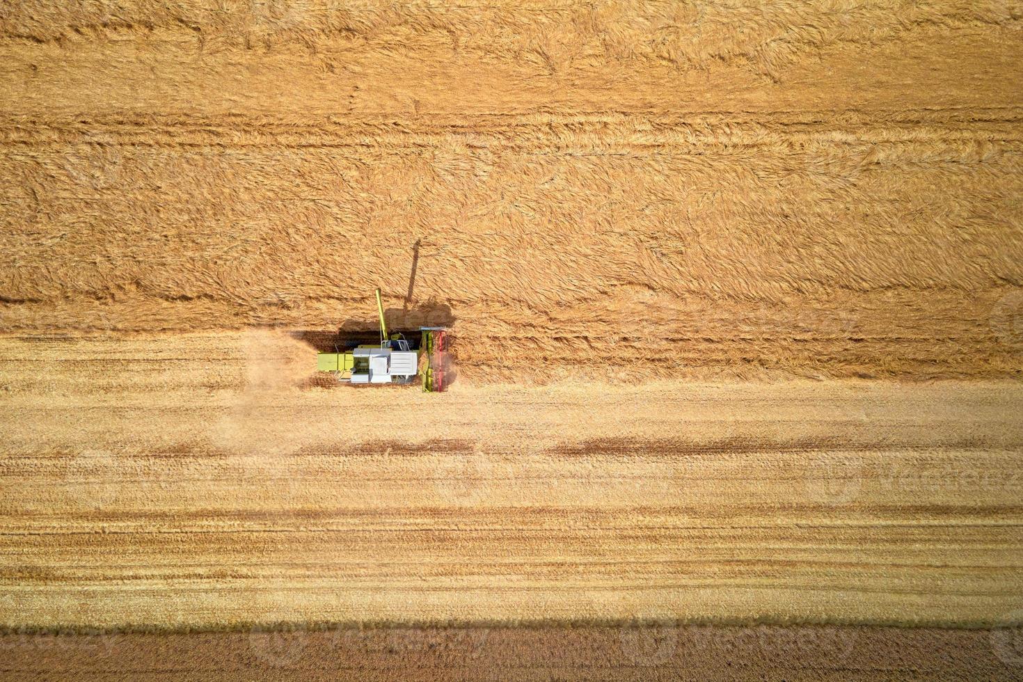 aereo Visualizza di Lavorando raccolta combinare nel Grano campo, raccogliere stagione foto