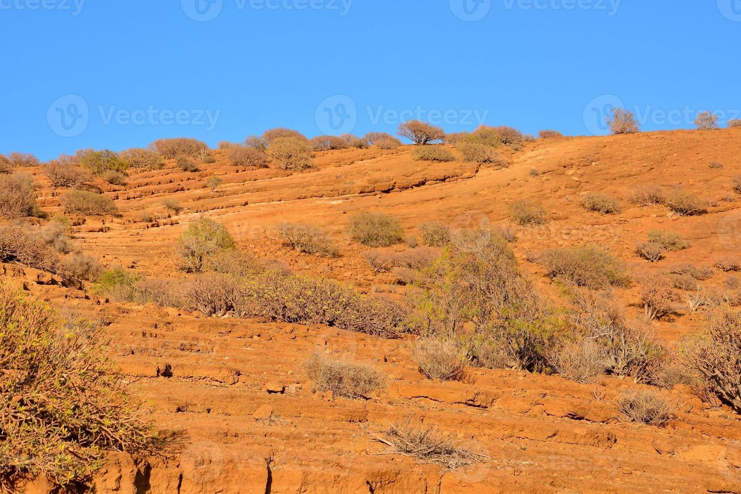 panoramico deserto paesaggio foto