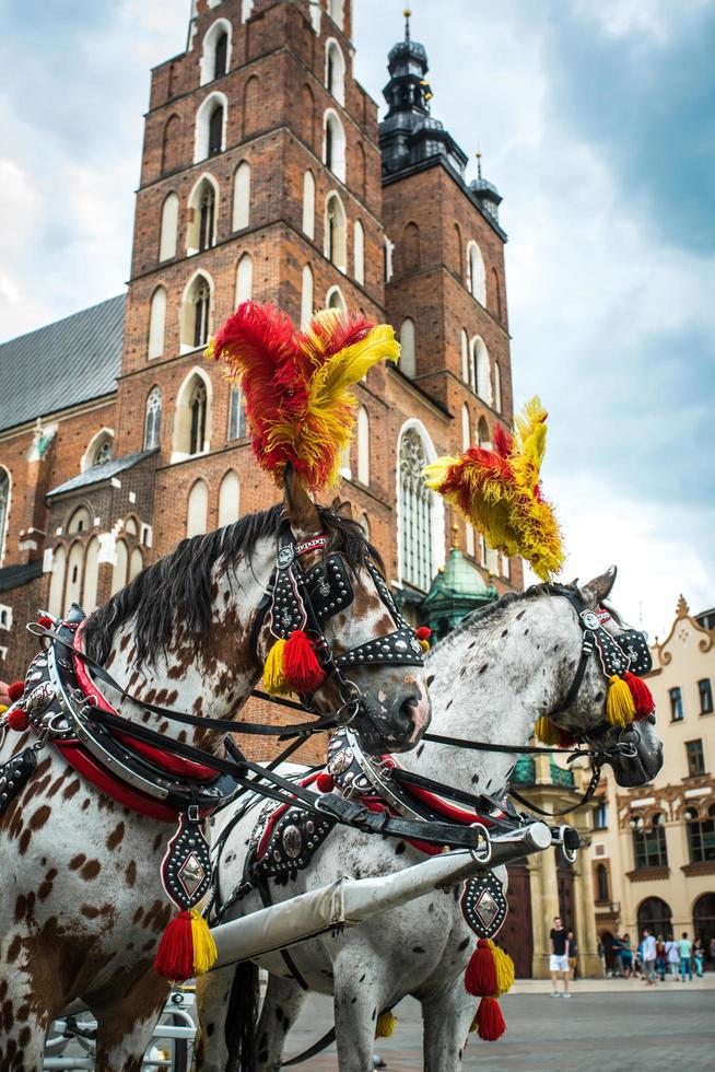 cracovia, polonia 2017- carrozza stilizzata nella storica piazza di cracovia foto