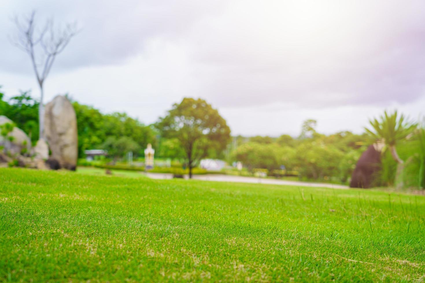 concentrato di erba verde nel giardino del campo da golf foto