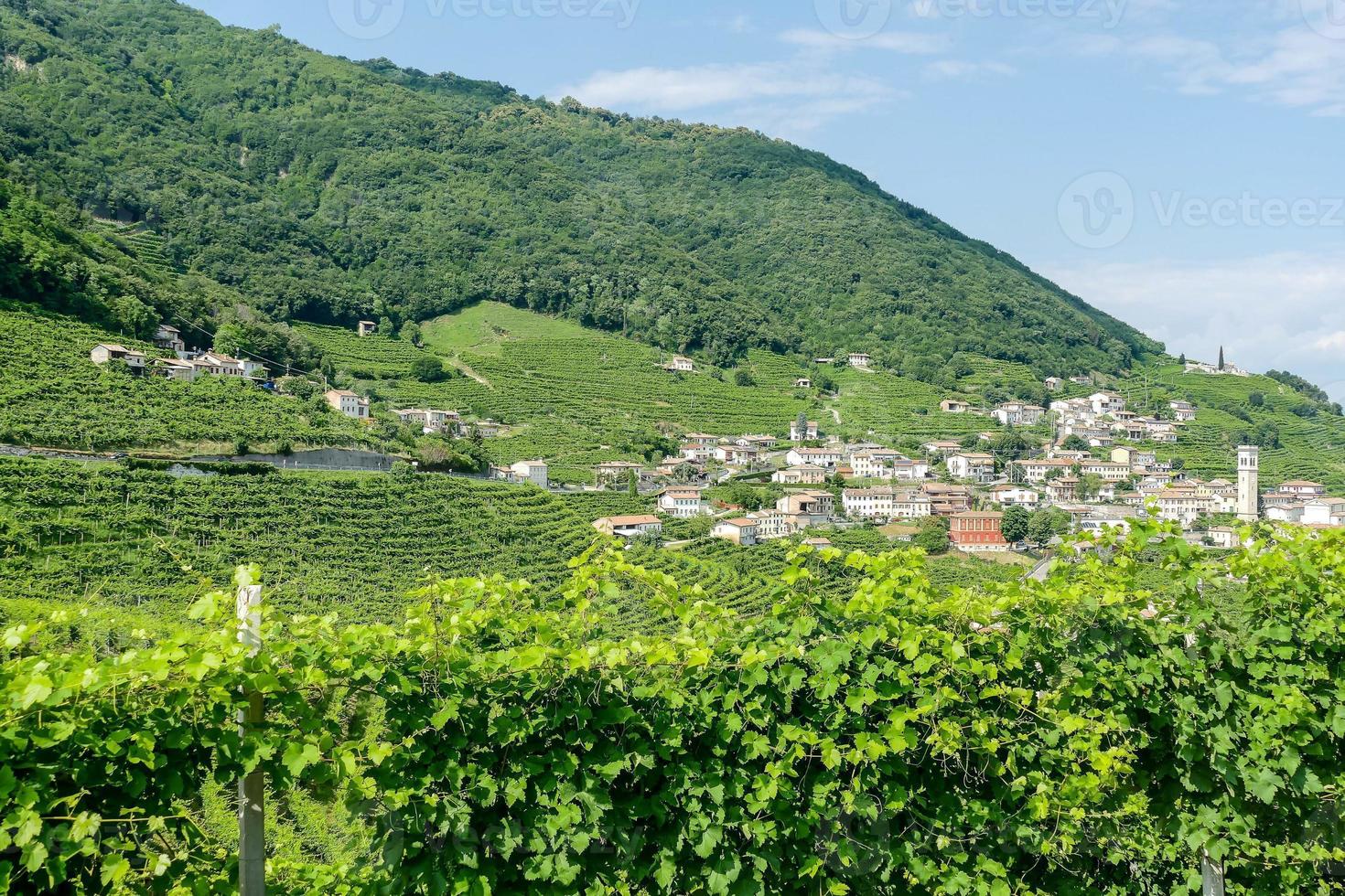 panoramico rurale paesaggio foto