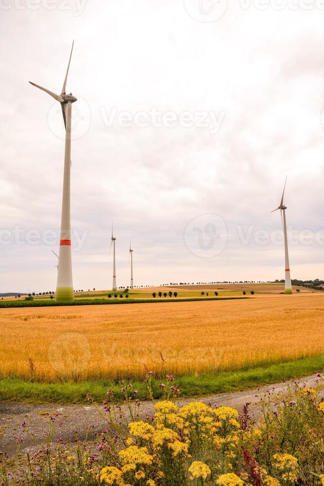 panoramico rurale paesaggio foto