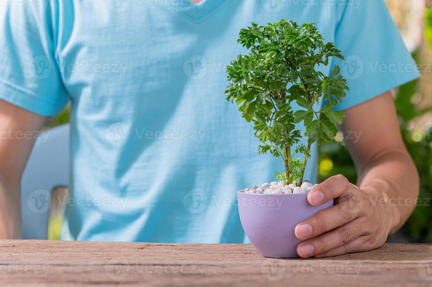 una persona che pianta alberi in vaso, concetto per l'amore delle piante e dell'ambiente foto