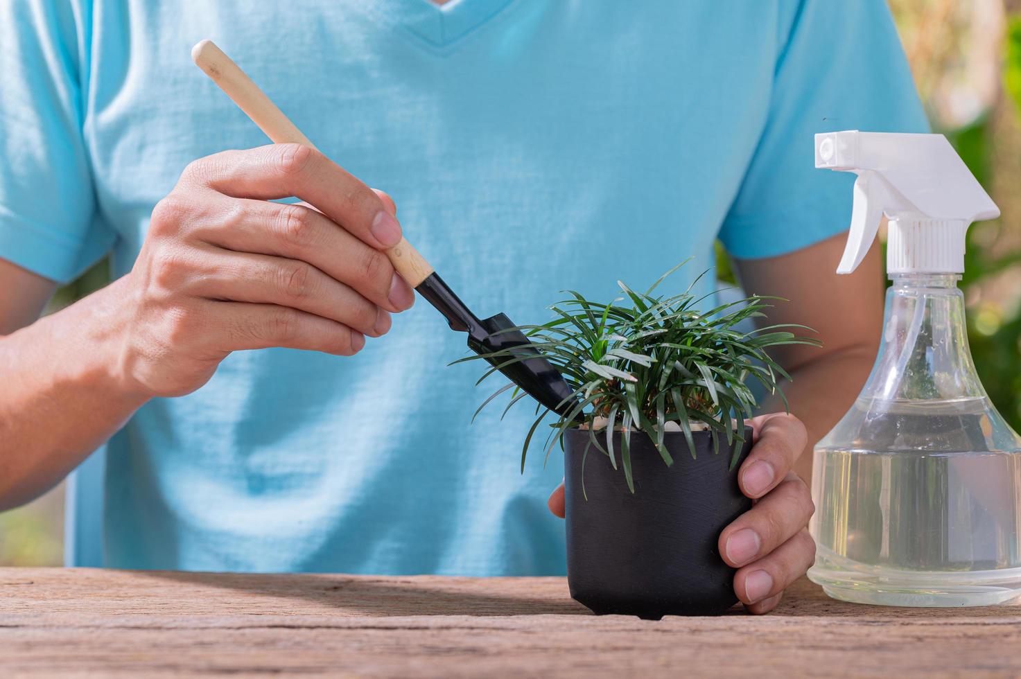 una persona che pianta alberi in vaso, concetto per l'amore delle piante e dell'ambiente foto