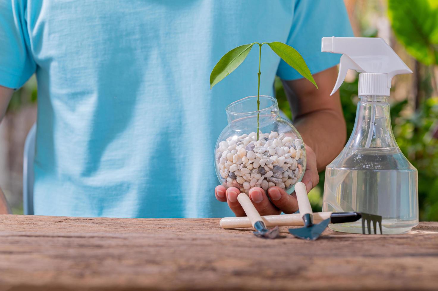 una persona che pianta alberi in vaso, concetto per l'amore delle piante e dell'ambiente foto