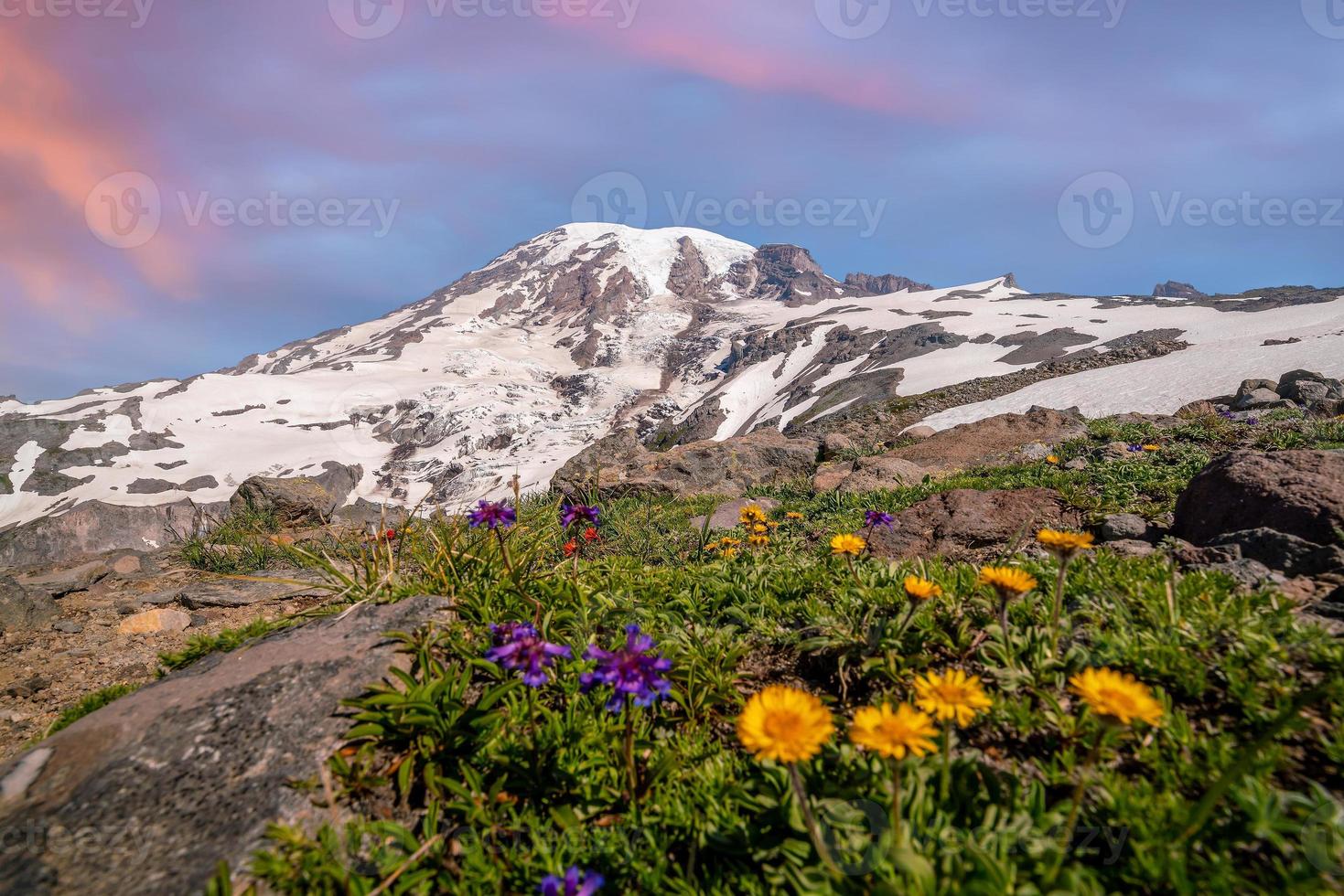 paesaggio di montare più piovoso nazionale parco nel Stati Uniti d'America foto