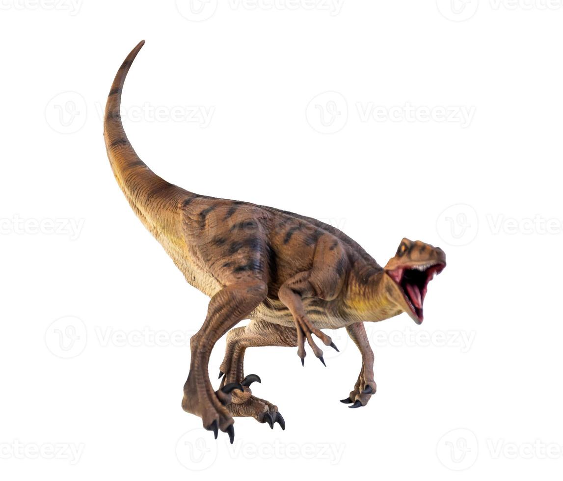 dinosauro , velociraptor isolato sfondo foto