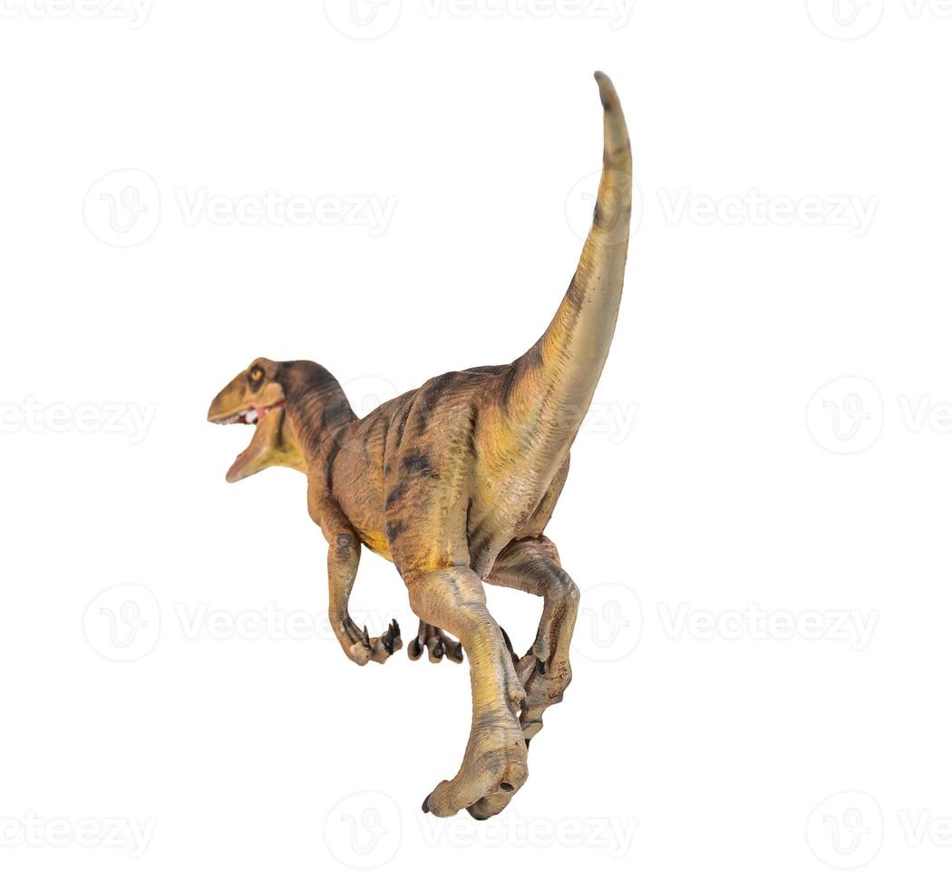dinosauro , velociraptor isolato sfondo foto