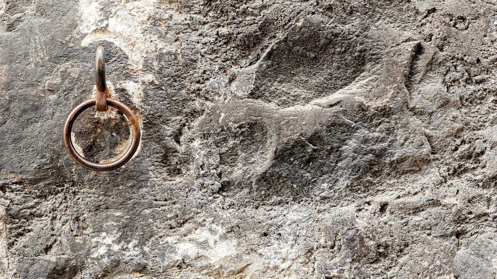 antico anello di cavalli sul muro della vecchia strada della città di ginevra, svizzera foto