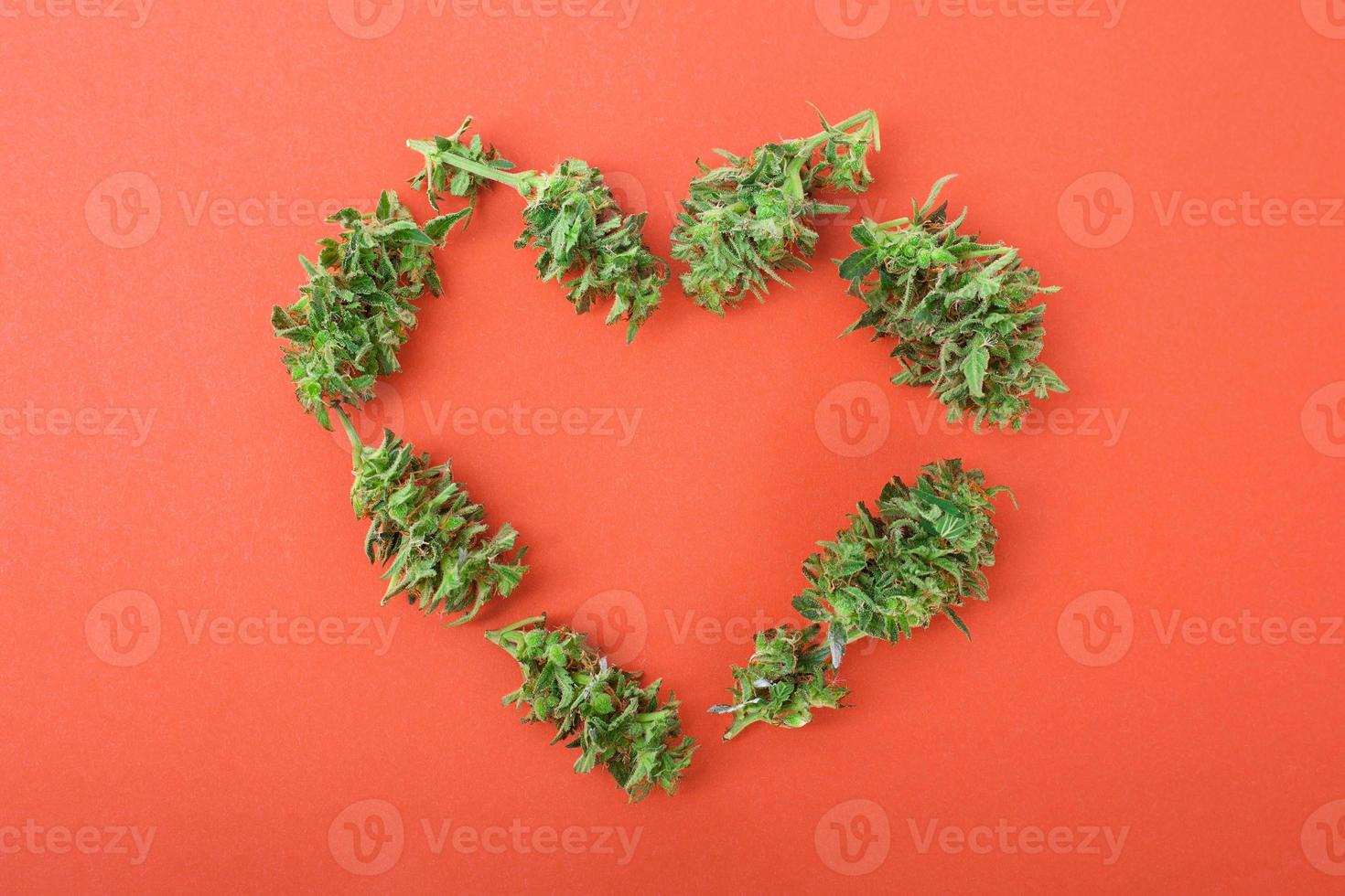boccioli di cannabis a forma di cuore foto
