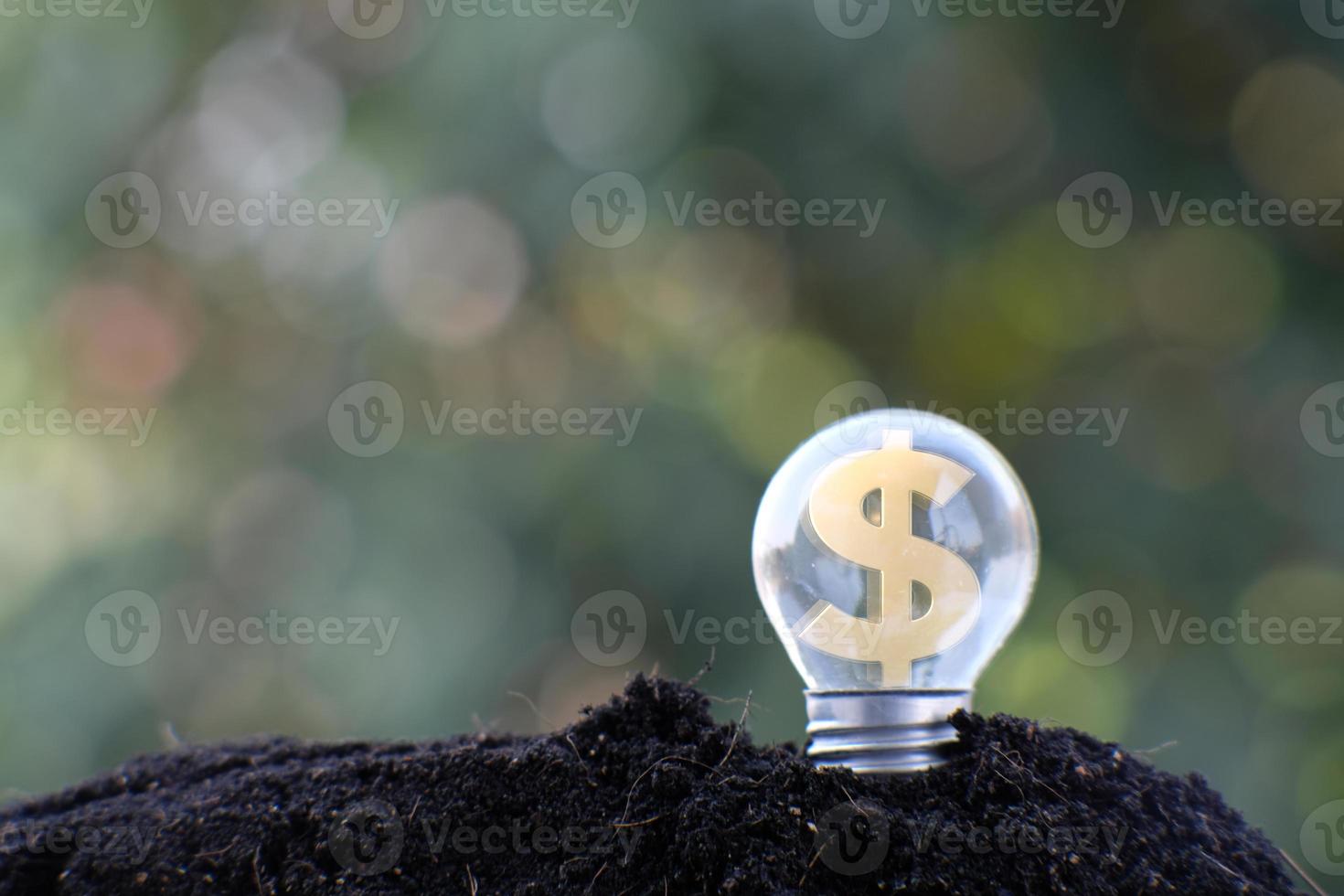 lampadina a risparmio energetico e concetto di crescita aziendale o aziendale foto