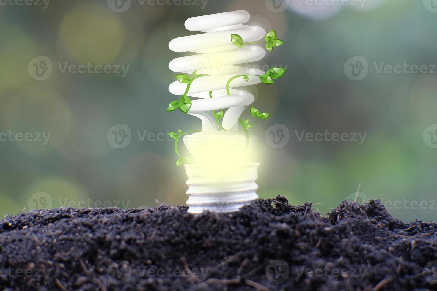 lampadina salva il mondo e il concetto di crescita del business foto