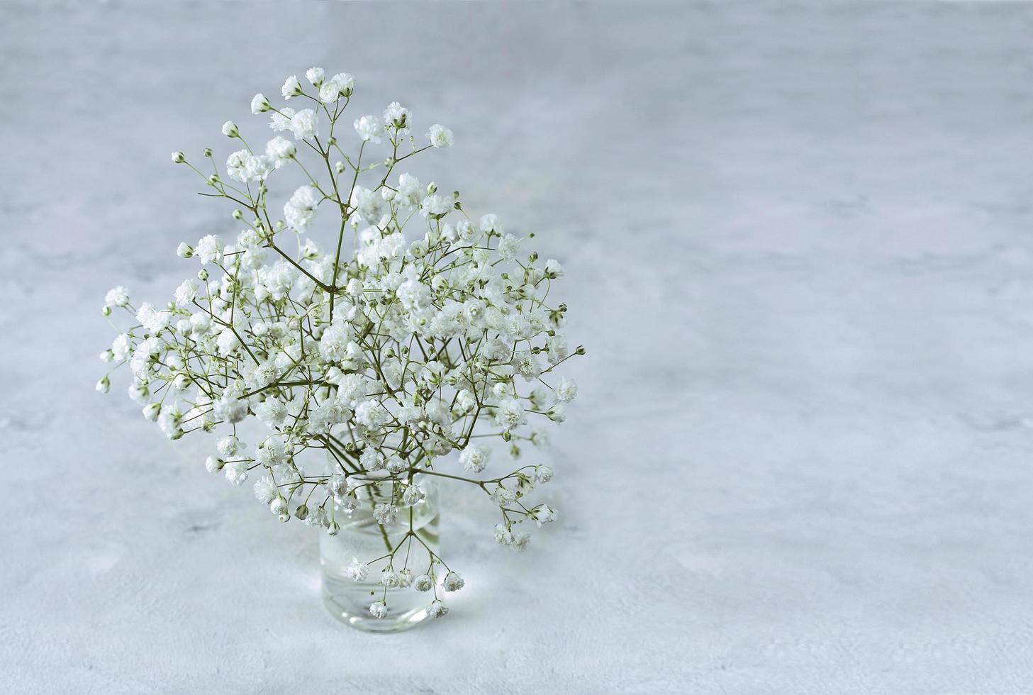 bouquet di gipsofila su uno sfondo di marmo grigio foto