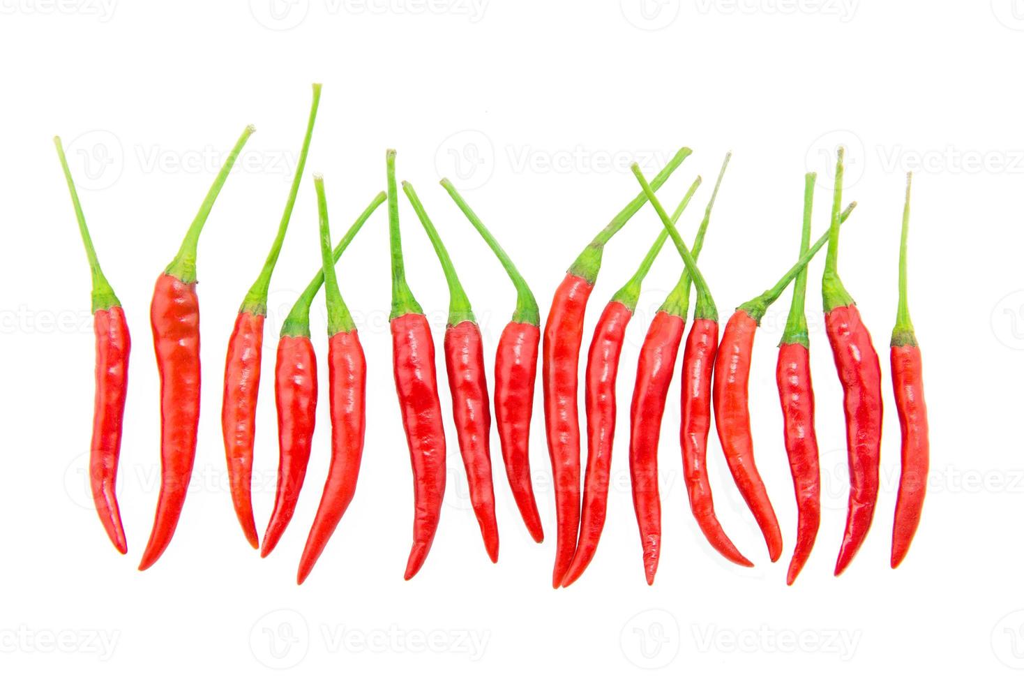 rosso peperoncini su bianca sfondo foto