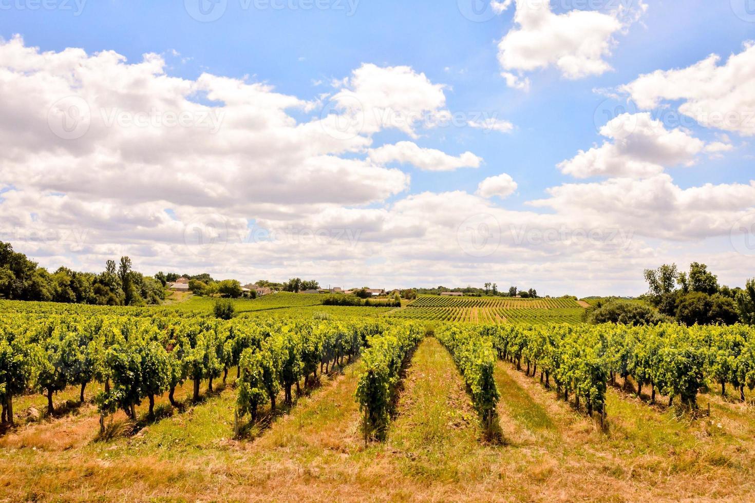 panoramico rurale paesaggio foto