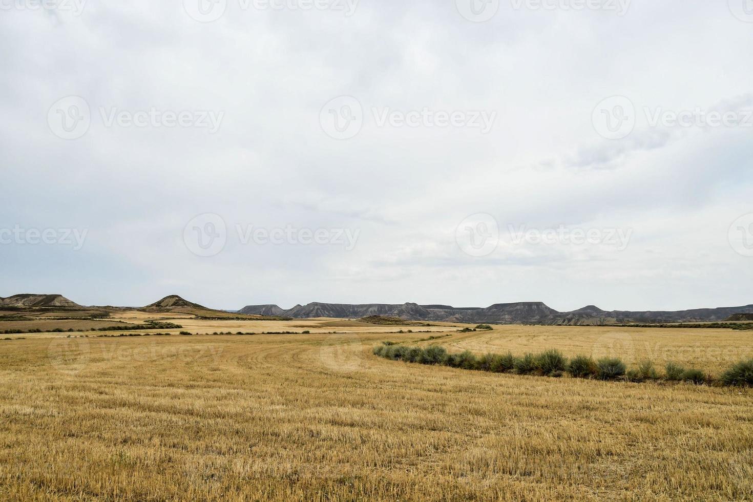 panoramico rurale paesaggio foto